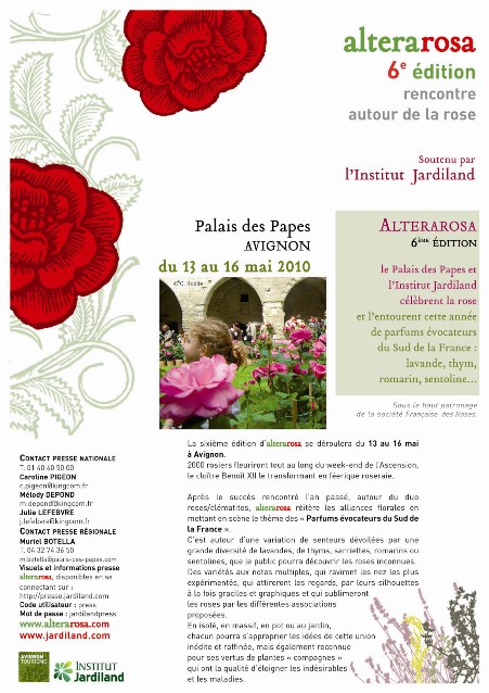 dp20101.jpg