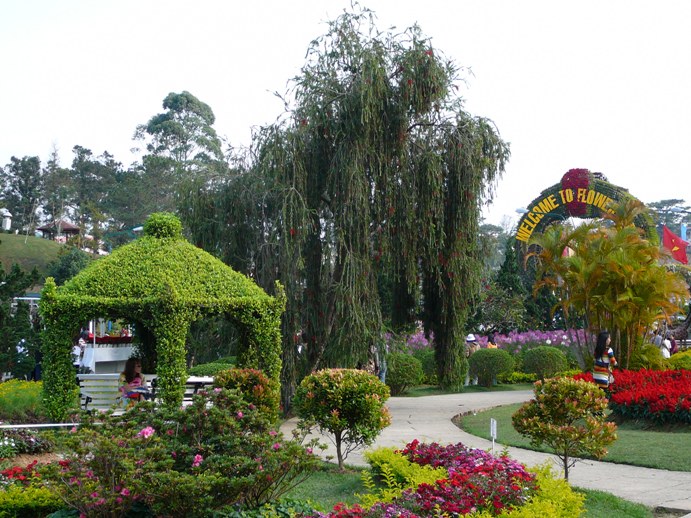 flowers_of_dalat_003.jpg