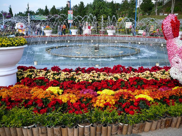 flowers_of_dalat_005.jpg