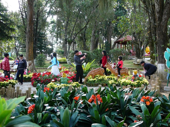 flowers_of_dalat_006.jpg