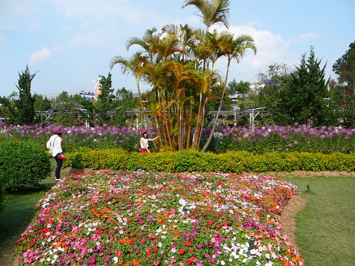 flowers_of_dalat_007.jpg