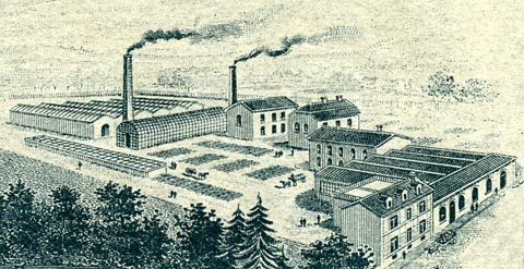 gemenbourg1906.jpg