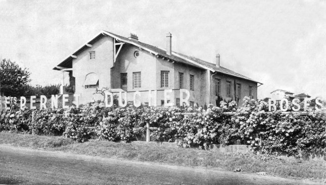 habitation-pernet-ducher.jpg