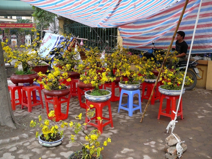 hanoi_001.jpg
