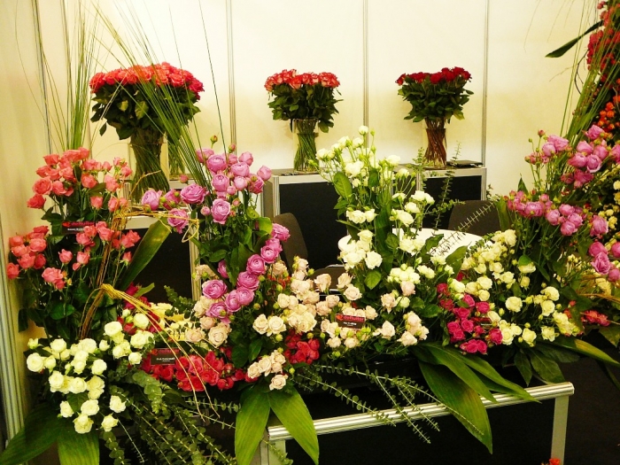 hortech_2013_004.jpg