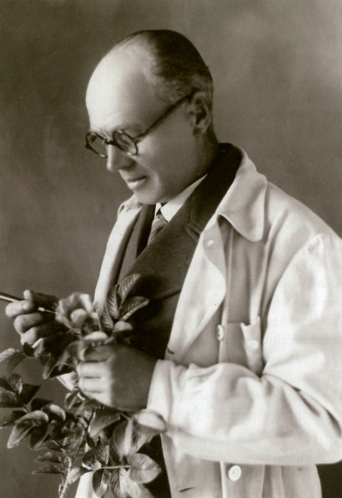 jan_bohm.jpg