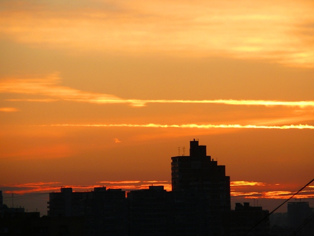 kopiya_p1540627.jpg