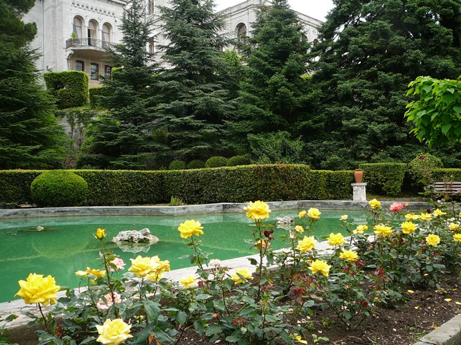 koreis_roses_002.jpg