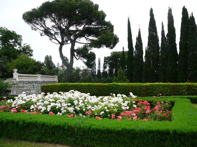 koreis_roses_005.jpg