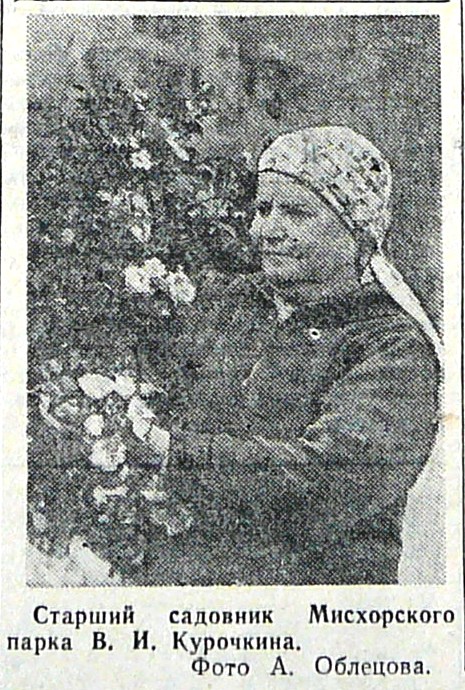 kurochkina_v.i._0.jpg