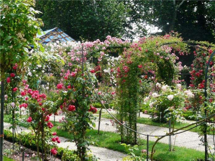 lhay_les_roses_007.jpg