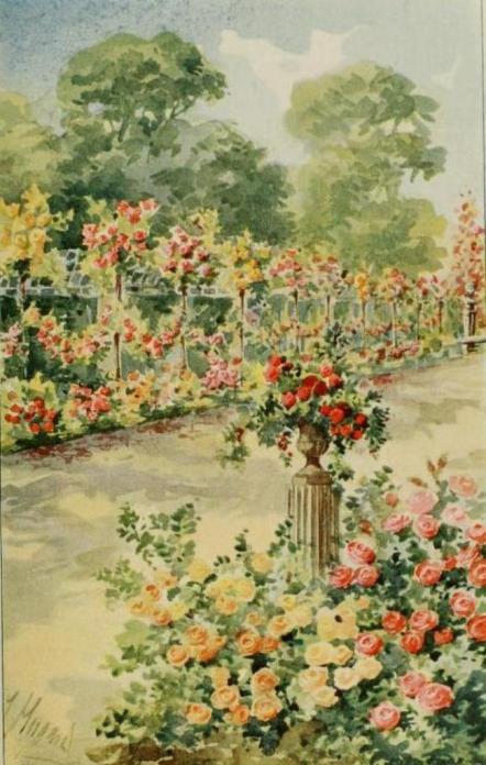 lhay_les_roses_017.jpg