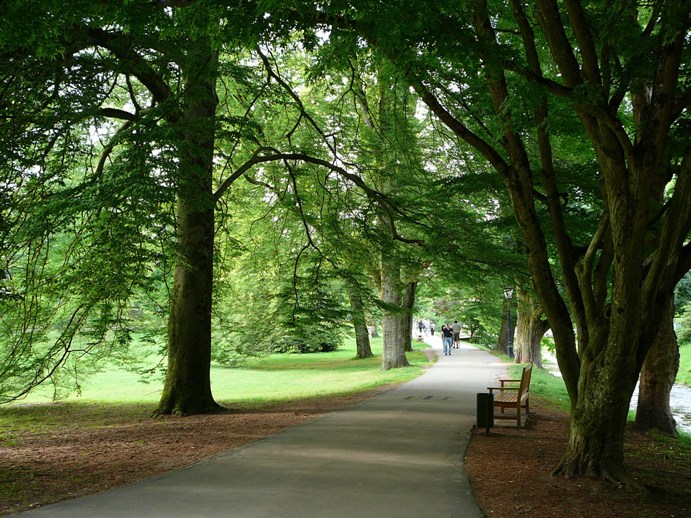 lichtentaler_allee_2011.jpg