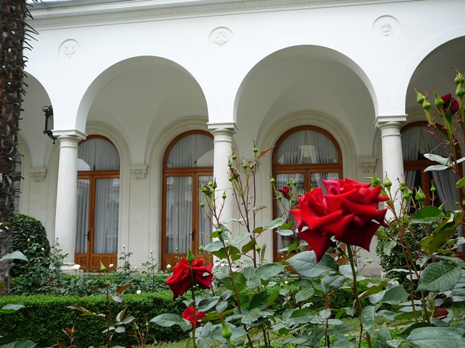 livadia_roses_002.jpg