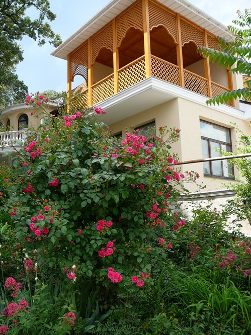 livadia_roses_005.jpg