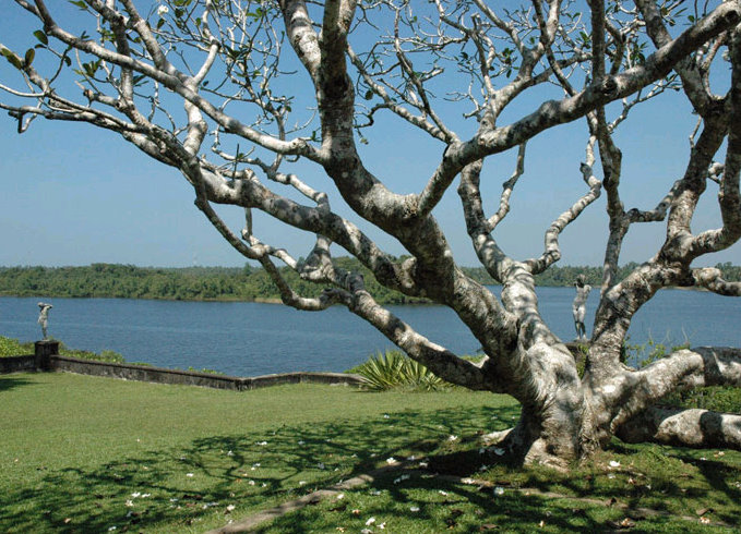 lunuganga8.jpg