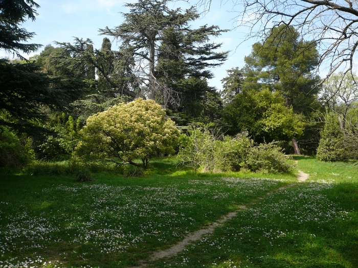 massandra_107.jpg