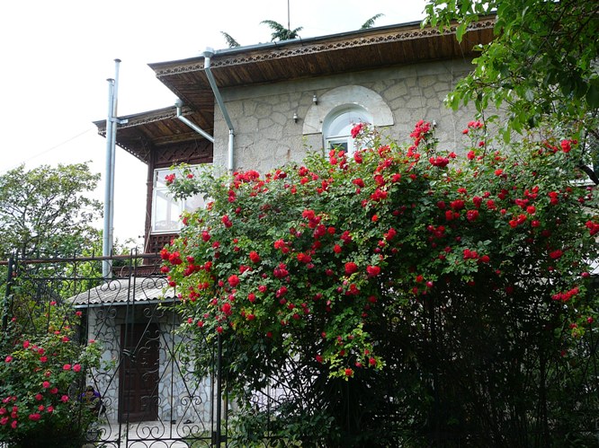 massandra_roses_002.jpg