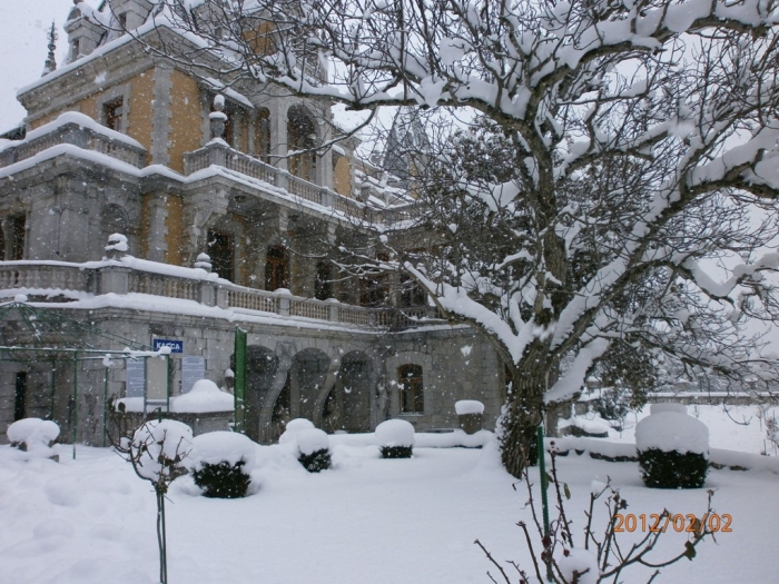 massandra_winter_2012.jpg
