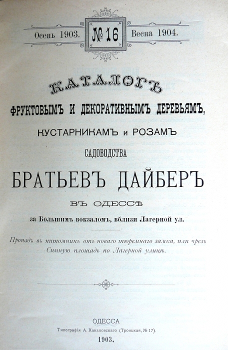 p1260654.jpg