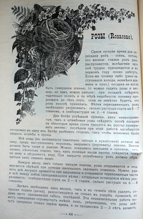 p1260679.jpg