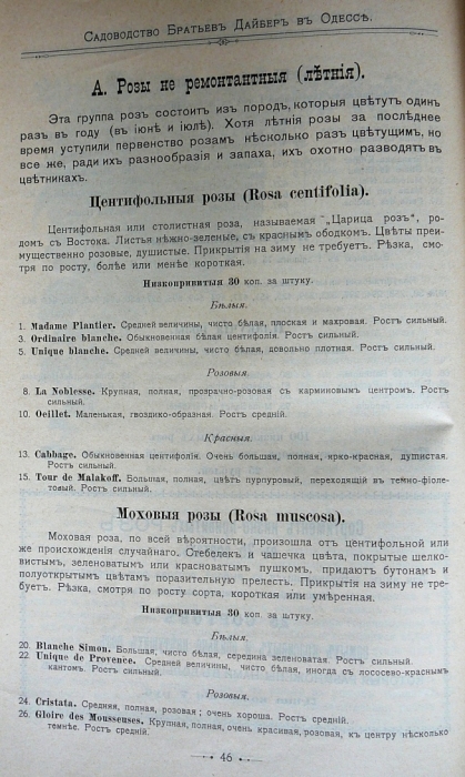 p1260681.jpg
