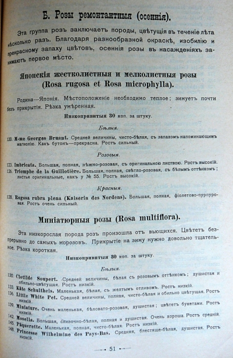 p1260686.jpg