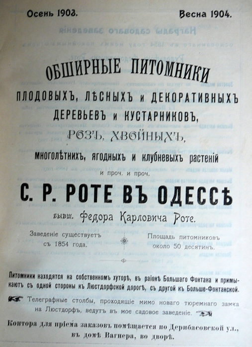 p1260735.jpg
