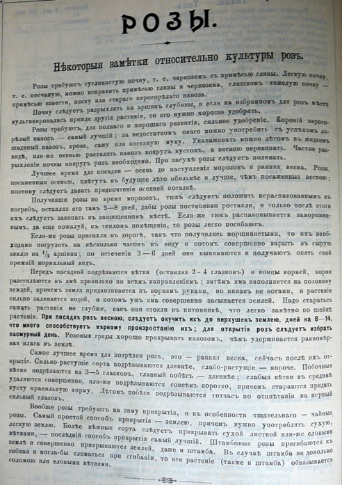 p1260738.jpg