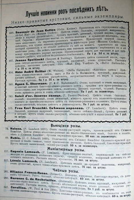 p1260740.jpg