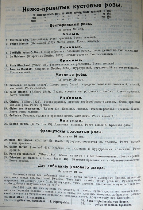 p1260742.jpg