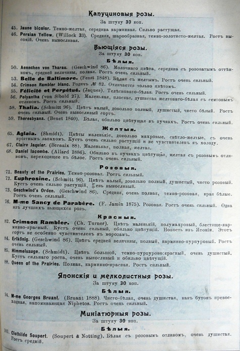 p1260743.jpg