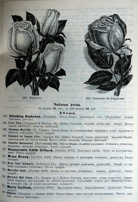 p1260747.jpg