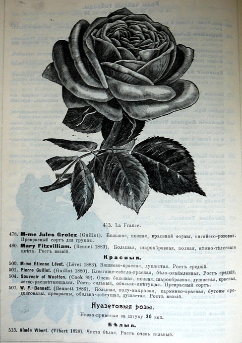 p1260753.jpg