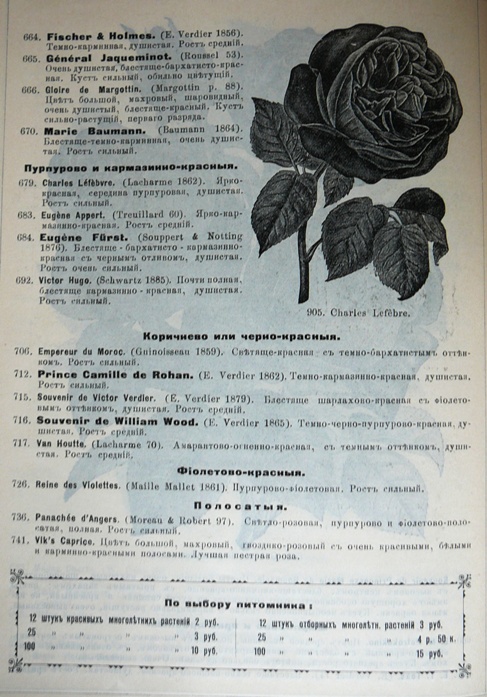 p1260757.jpg