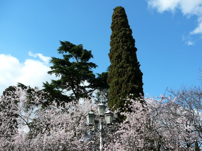 p1460418.jpg
