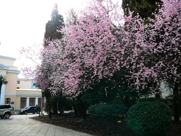 p1460444.jpg