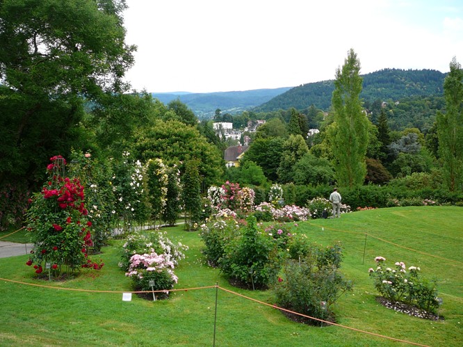 p1500655.jpg