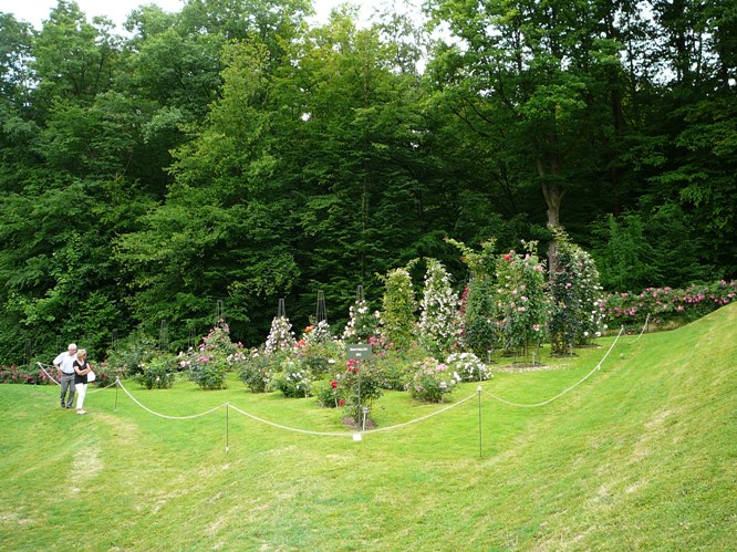 p1500657.jpg