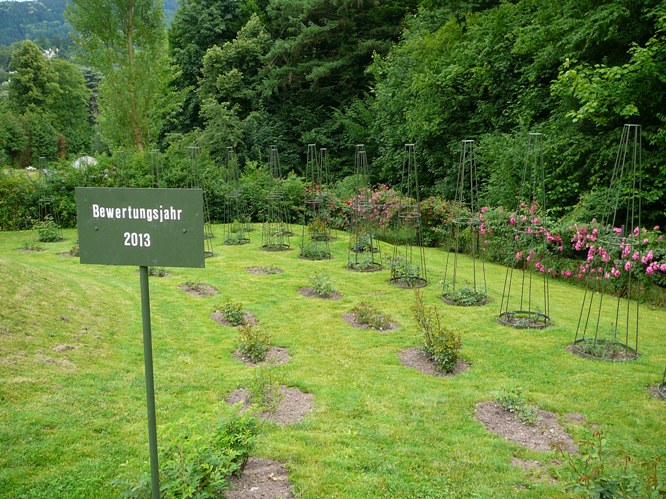 p1500662.jpg
