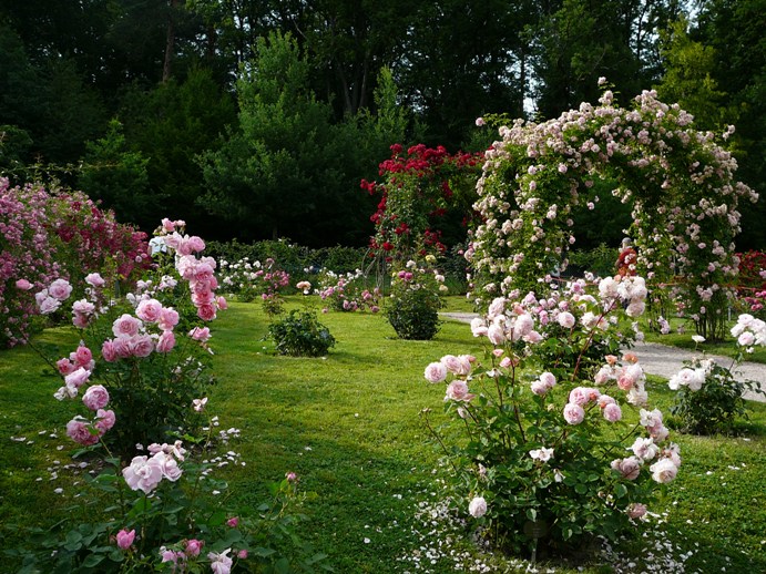 p1500739.jpg