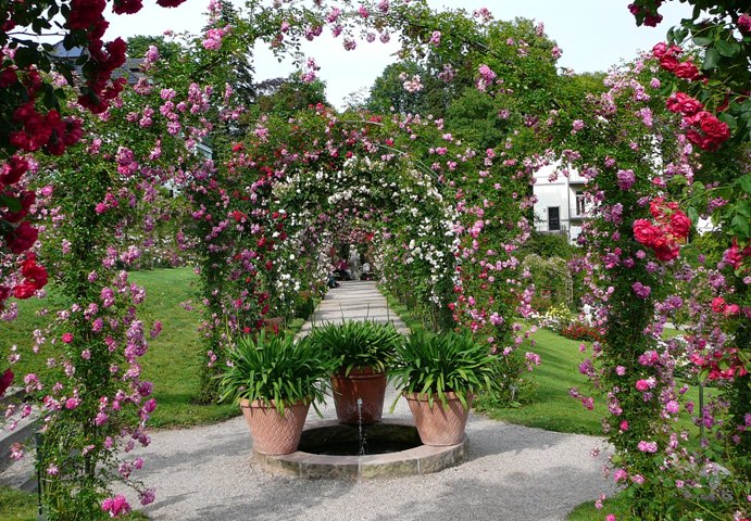 p1500752.jpg