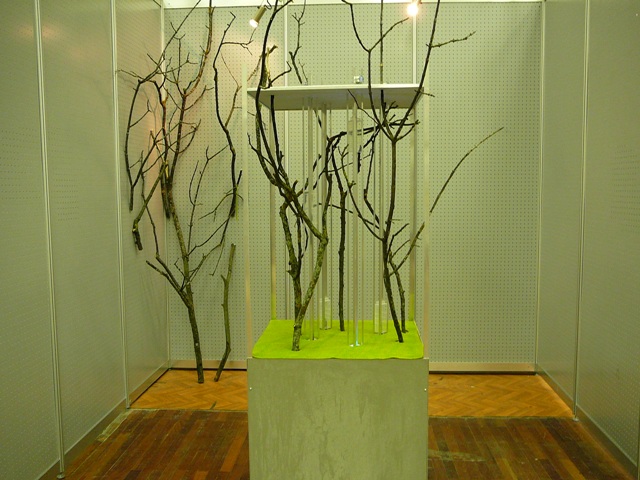 p1550117.jpg