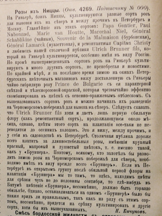 p1550928.jpg