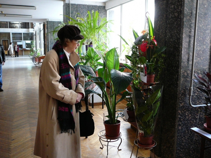 p1720154.jpg