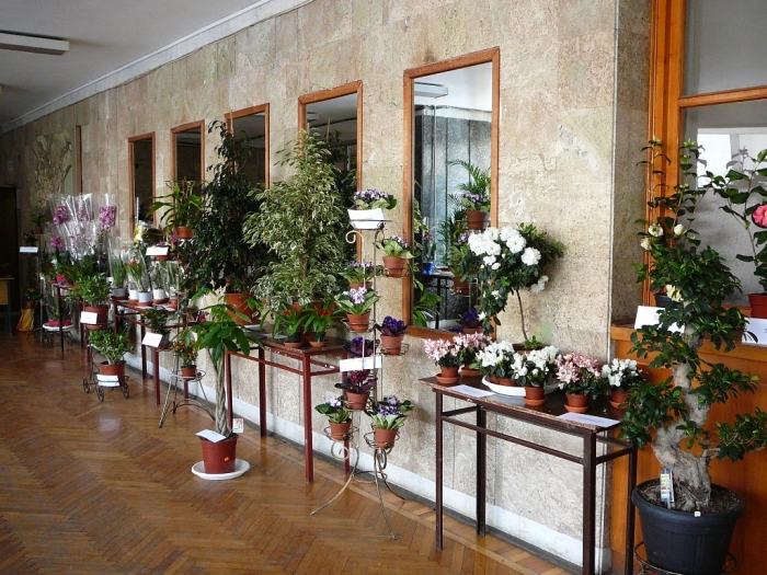 p1720158.jpg