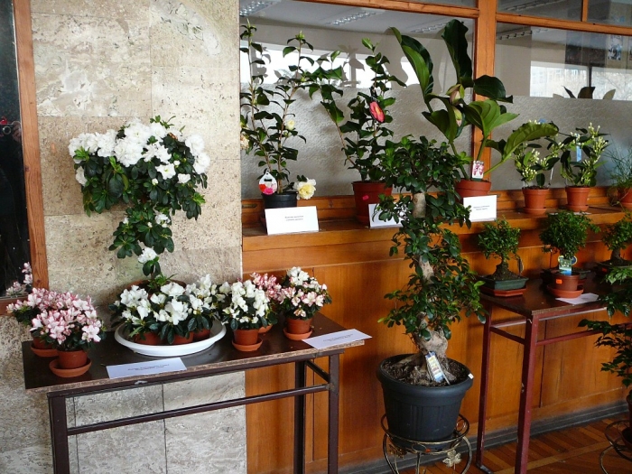 p1720162.jpg