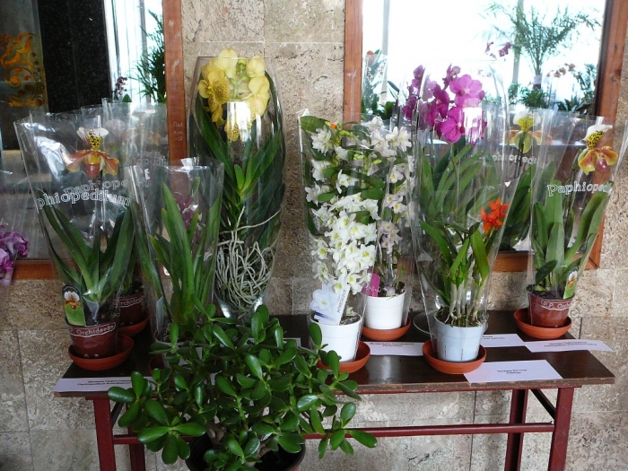 p1720168.jpg