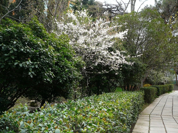 p1720434.jpg