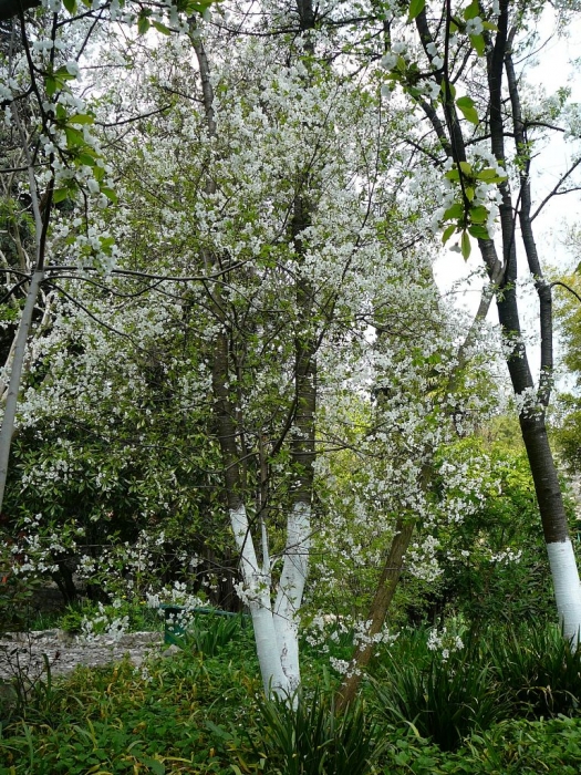 p1730052.jpg